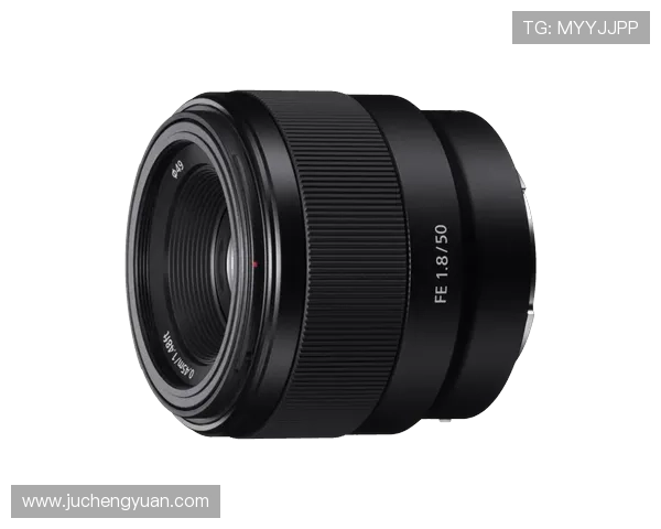 开云官网最新产品信息全面解析助你轻松掌握品牌动态