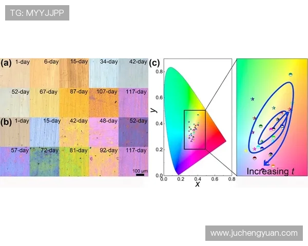 色碟的材质分析与选择技巧，满足不同需求的实用指南