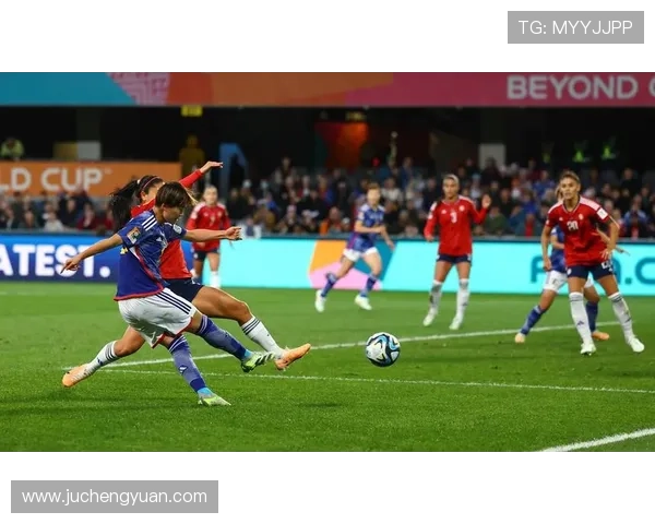 半岛体育bob：提供多样化体育训练技巧与运动健康知识的实用指南