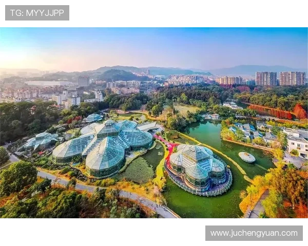 开云体育不断提升用户体验，打造多元化体育内容生态体系实现新突破