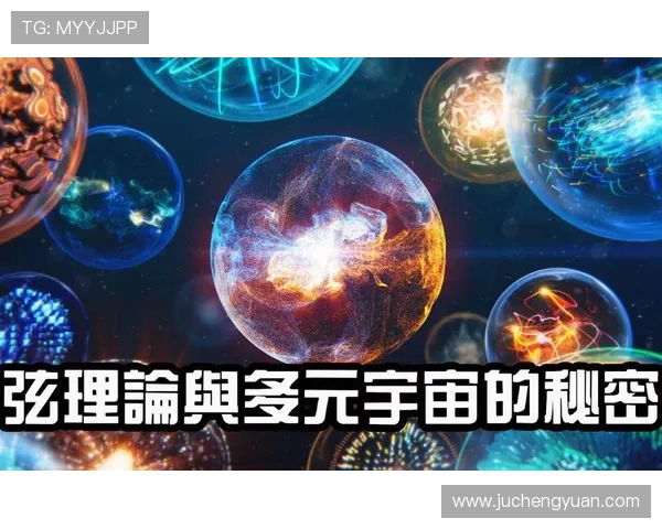 星空官网登录入口指南帮助用户顺利登录平台实现多样化服务体验