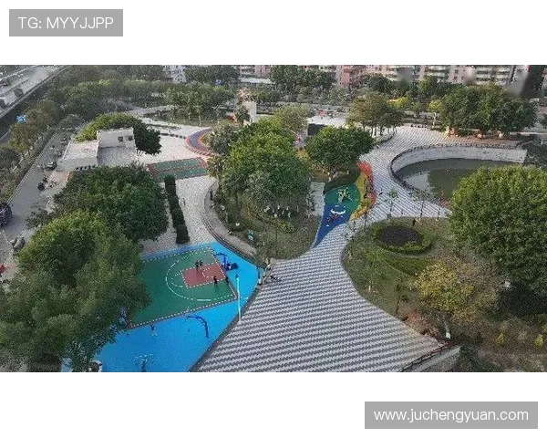 多米体育app官网功能详解与常见问题解决方案，提升您的体育娱乐体验