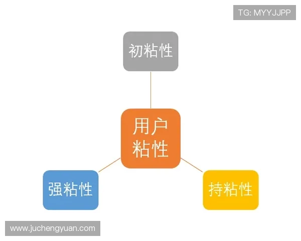 海星体育中文站如何通过内容丰富提升用户粘性与平台活跃度